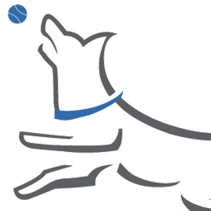 NWA Dog Training - Logo