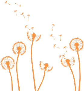 Happy Gardens Design & Installation - Logo