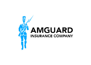 Dealer Insurance Services LLC - Logo