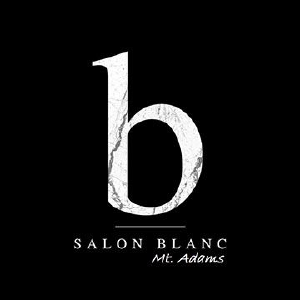 Salon Blanc - Logo