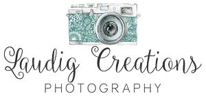 Laudig Creations Photography, LLC