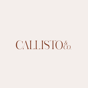 Callisto and Co.