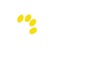 Royci's Pet Studio