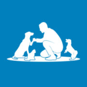 Noah's Friends Inc. - Logo