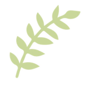 Morning Dew Landscapes - Logo