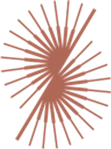 Surface Medspa - Logo