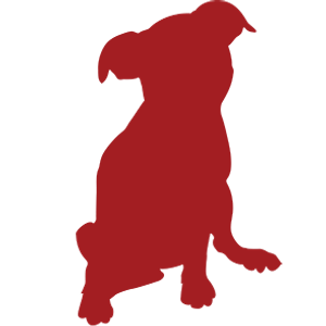 Strut The Pup