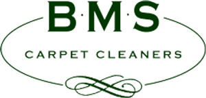 BMS Premier Cleaners - Logo
