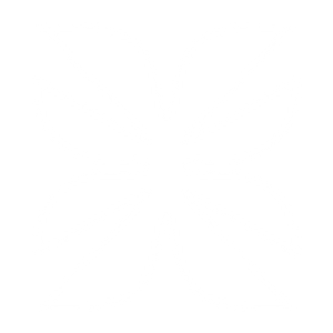Velvaere Aesthetics - Logo