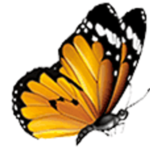 Get a Life Professional Organizing - Logo