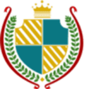 NOBLE Pressure Cleaning - Logo