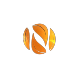 NOYA Skin Spa & Beauty Boutique - Logo