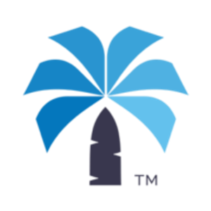 Palmetto Payment Solutions - Logo