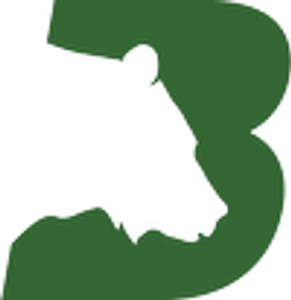 Bear Restoration - Logo
