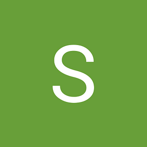 Surety One, Inc - Logo