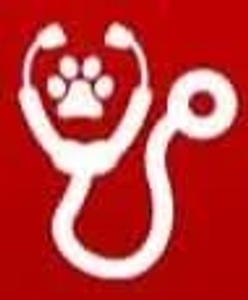 Animal Emergency Clinic - Logo