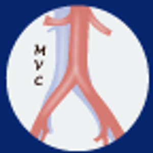 Melbourne Vascular