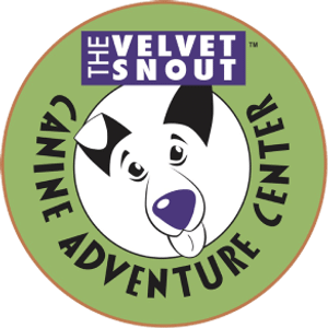 The Velvet Snout