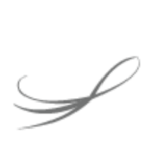The Lash Lounge of Grand Rapids - Logo
