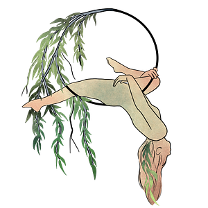 Willow Aerial