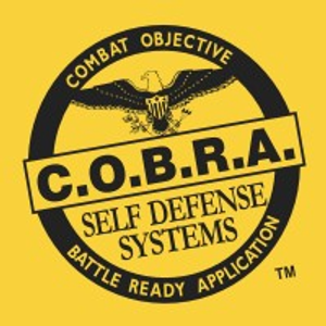 COBRA Self Defense of East Valley AZ - Logo