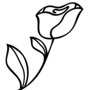 Bella Rosa Skin Academy - Logo