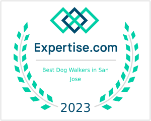 Dirty Paws Pet Sitting & Dog Walking LLC