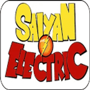 Saiyan Electric Inc