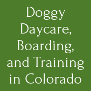 Woofland Play & Stay