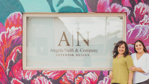 Angela Nolfi & Company - Logo