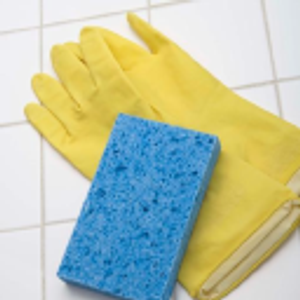 Susy's House Cleaning - Logo
