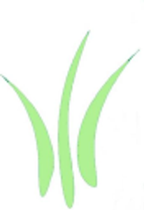 Cranmer Grass Farming - Logo