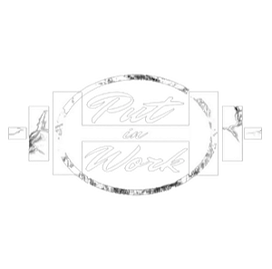 Put In Work Fitness & Online Coaching