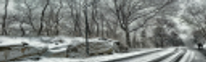 Tom Nash Snow Removal