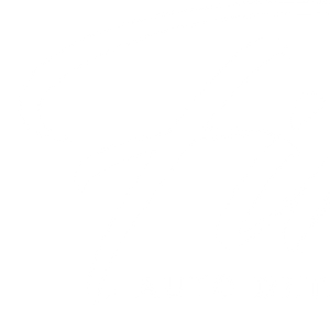 Finest Detailing NYC - Logo
