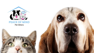Peace Of Mind Pet Sitters
