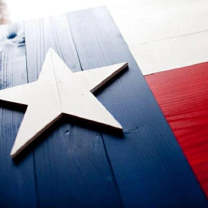 Texas Heritage Painting - Logo