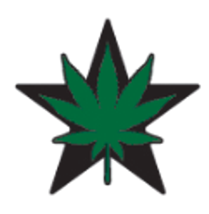 Star Buds Brighton - Logo