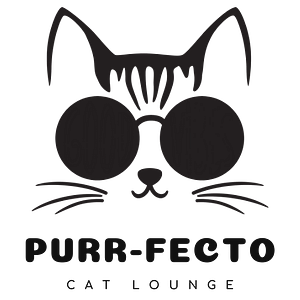 Purrfecto Cat Lounge