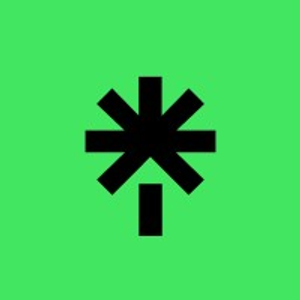 Gemini Aesthetics - Logo