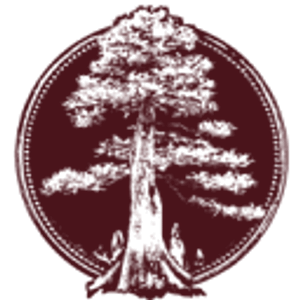 The Lookout - Logo