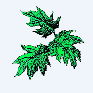 Pirc Company Landscaping & Snowplowing - Logo