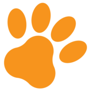 Dog Walking-N-More of Tribeca - Logo