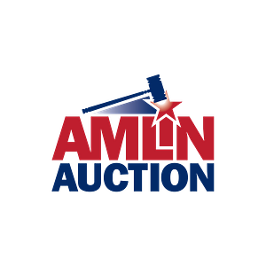 Amlin Auction