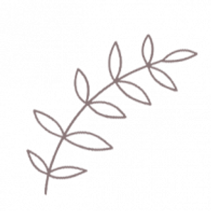 North Market Venue - Logo