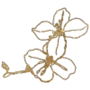 Roquette - Logo