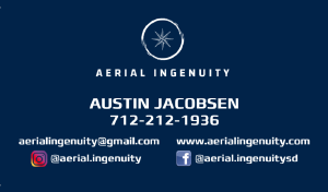 Aerial Ingenuity - Logo
