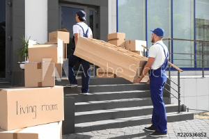 PackPal Movers - Logo