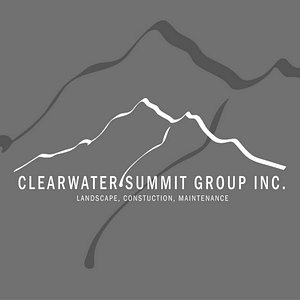 Clearwater Summit Group, Inc. - Logo