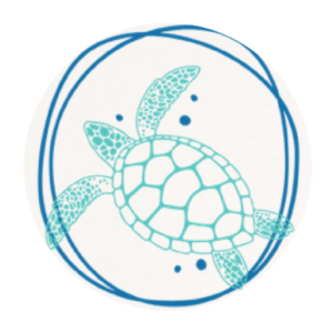 Palm Coast and the Beaches Real Estate - Logo